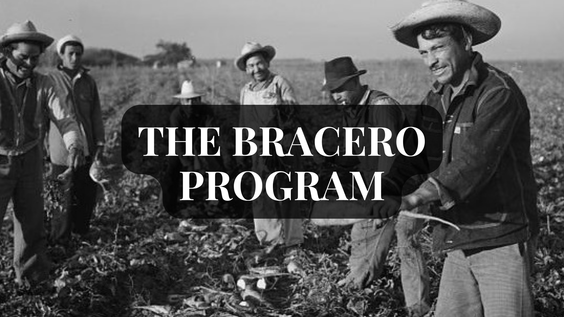 The Bracero Program Title Page